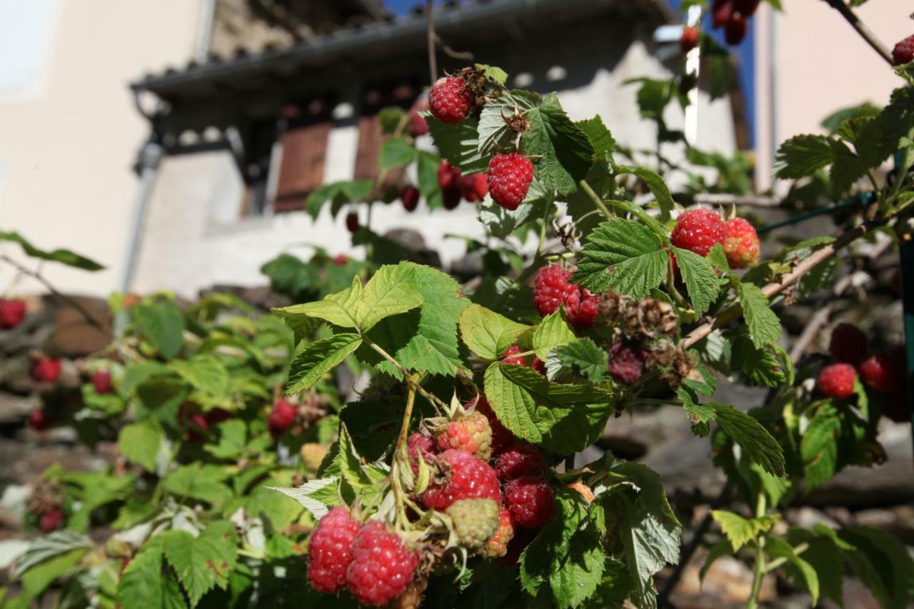 Les Plantiers La Caladetteヴィラ エクステリア 写真