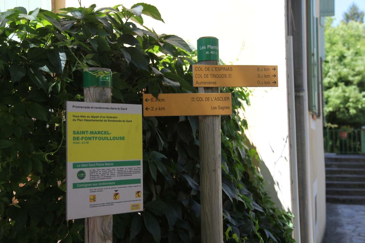 Les Plantiers La Caladetteヴィラ エクステリア 写真